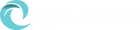 Electric Surf Company